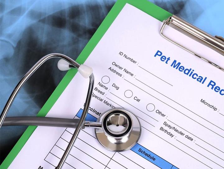 Pet Portal Stone Mountain Animal Hospital