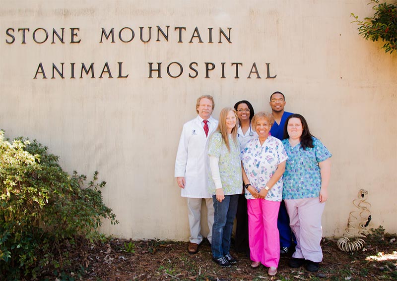 Carousel Slide 2: Stone Mountain Animal Hospital